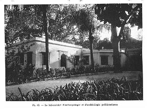 Bardo - Alger - 48